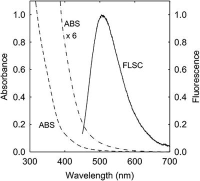 Visible Light-Activated Carbon Dots for Inhibiting Biofilm Formation and Inactivating Biofilm-Associated Bacterial Cells